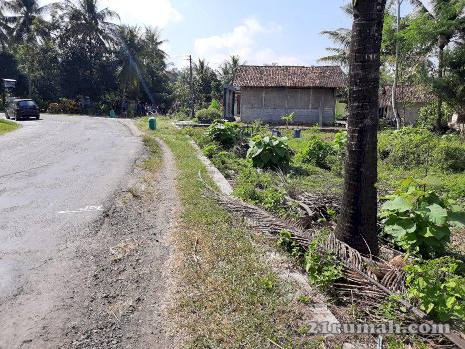 Tanah dijual murah cocok buat usaha