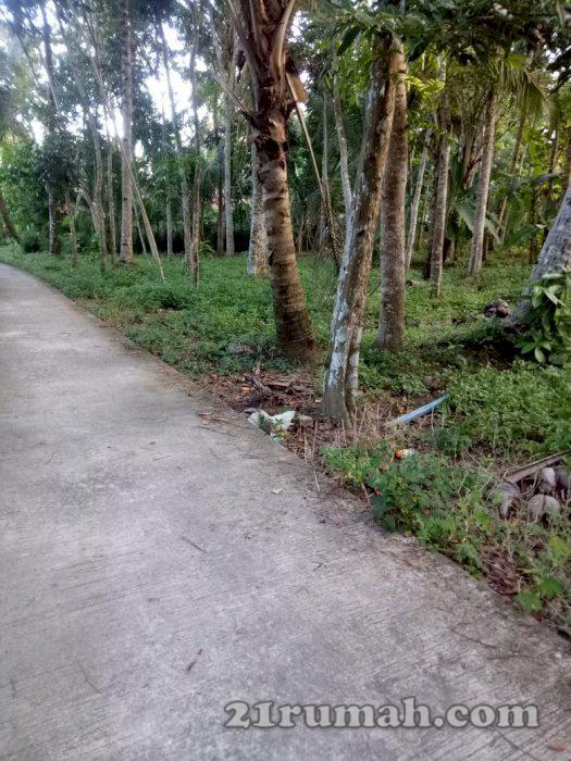 Tanah paling murah dekat bandara