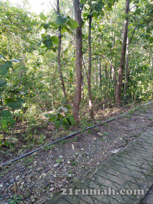 Tanah murah dijual cepatt