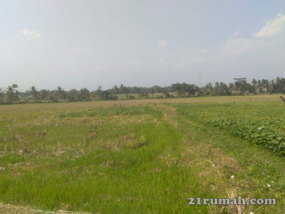 Tanah di jual view bagus 