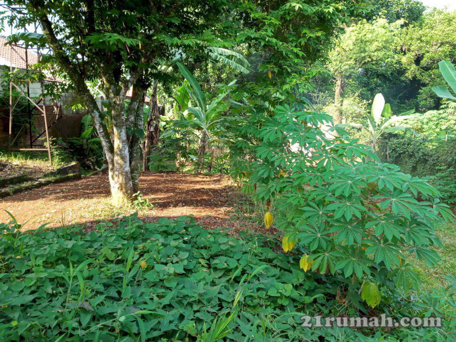 Tanah Berkontur Pasir Putih