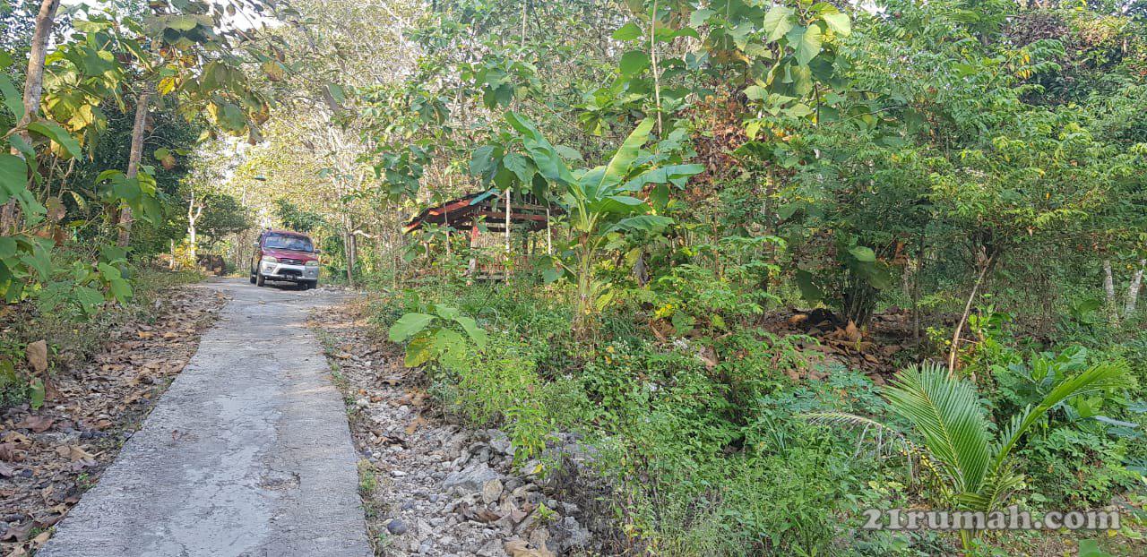 Tanah dijual murah cocok untuk investasi