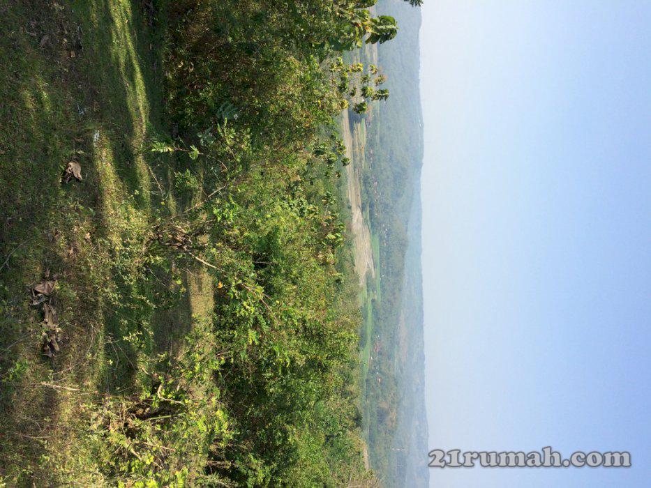 Jual Tanah Murah Area Tembalang