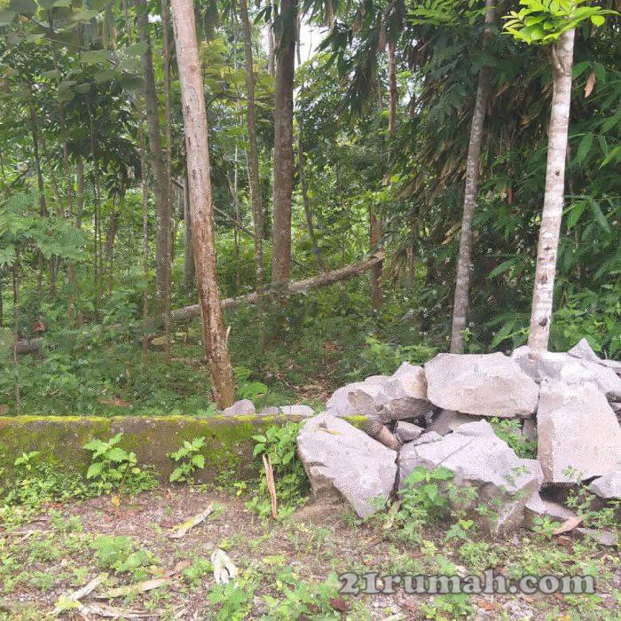 Tanah pribadi serfitikat datar cocok buat investasi