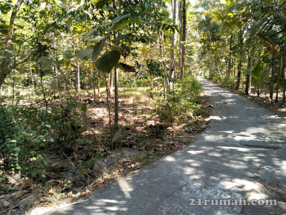 Tanah dijual Murah cocok buat perumahan