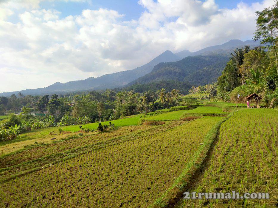 Tanah produktif cocok buat villa ataupun investasi