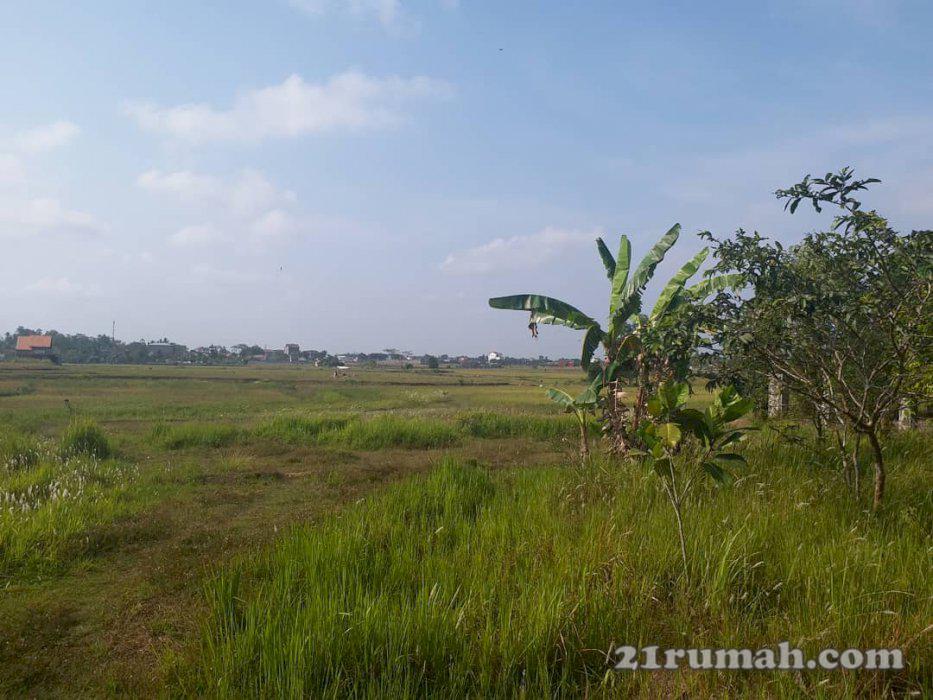 Tanah seluas 4,8 hektar..dikota metro lampung