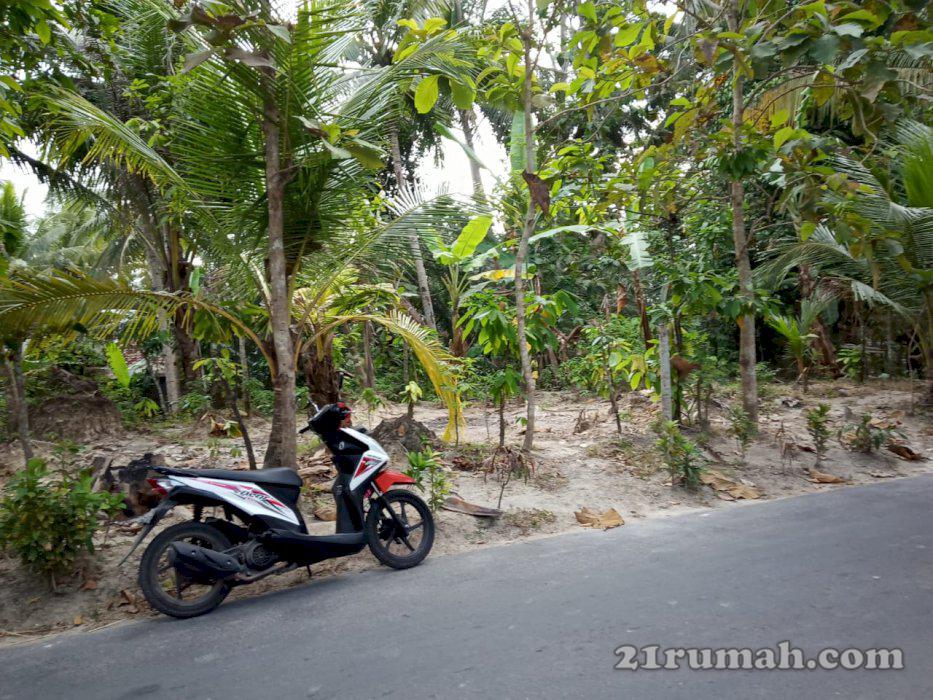 Tanah di jual dekat dengan kota wates
