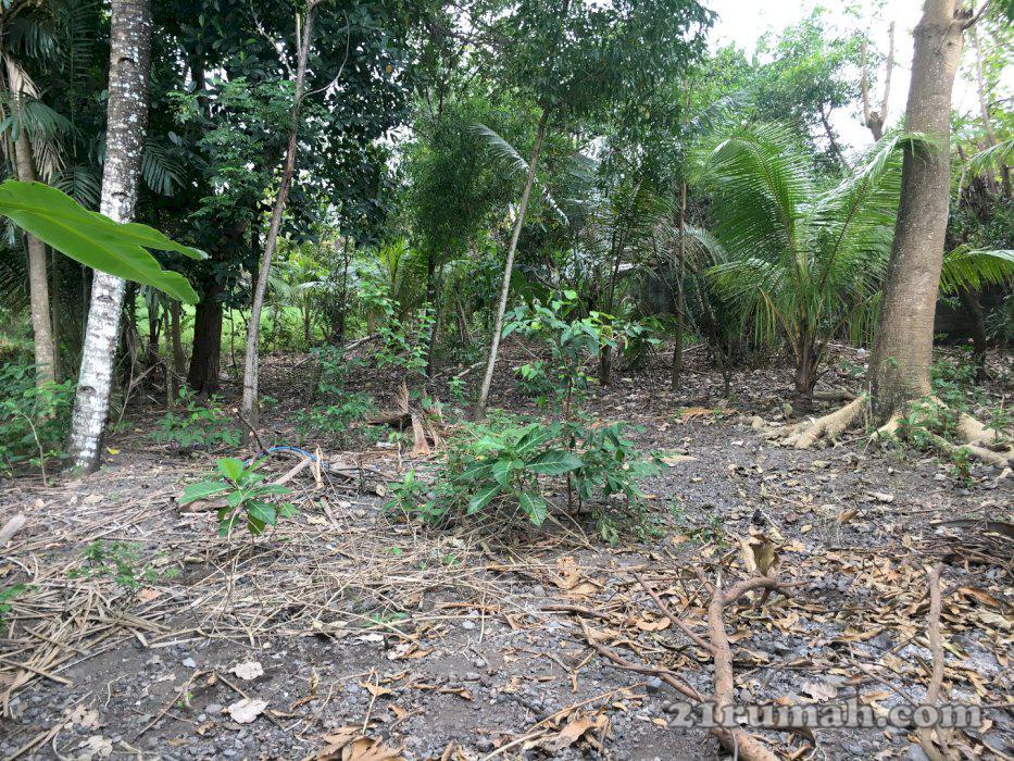 Dijual tanah total luas 600 m2