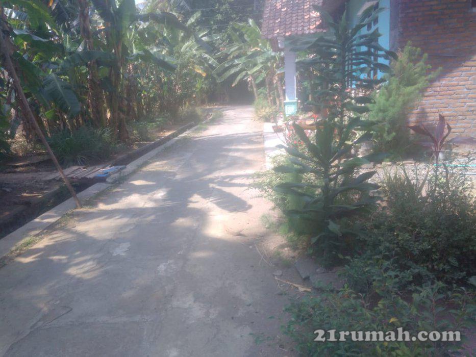 Tanah dijual murah cocok untuk hunian