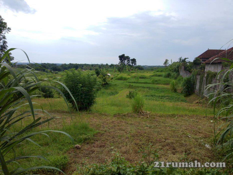 Jual tanah luas murah cocok untuk investasi di pendem,jembrana