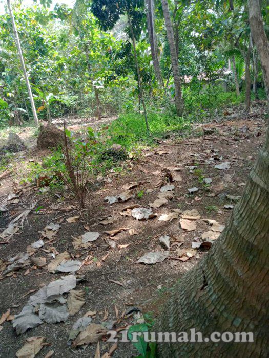 Tanah di jual murah dekat dengan kota