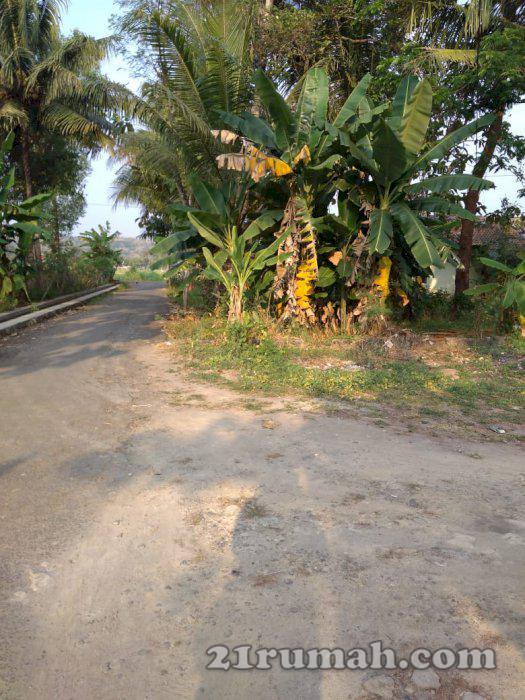 Tanah bagus dekat stadion cangkring 