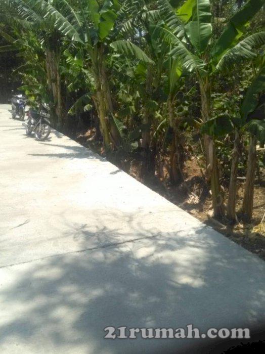 Tanah top mangku jalan cor dekat stadion cangkring