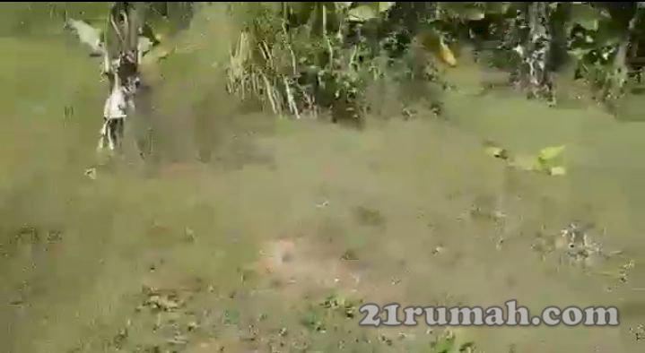 Di jual tanah cocok untuk invertasi