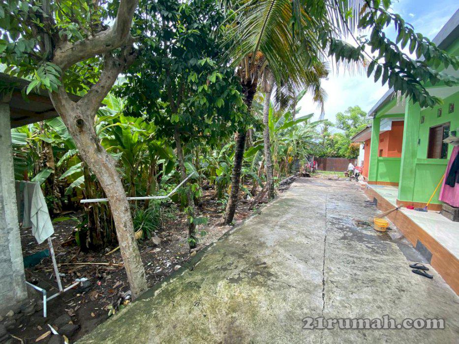 Tanah bagus&murah , cocok untuk villa di areal canggu utara