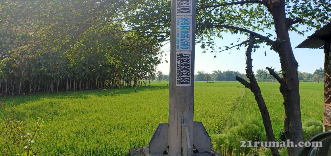 233_Dijual Tanah Mojoagung, Jombang Nol Jalan Raya Propinsi 5000 m2