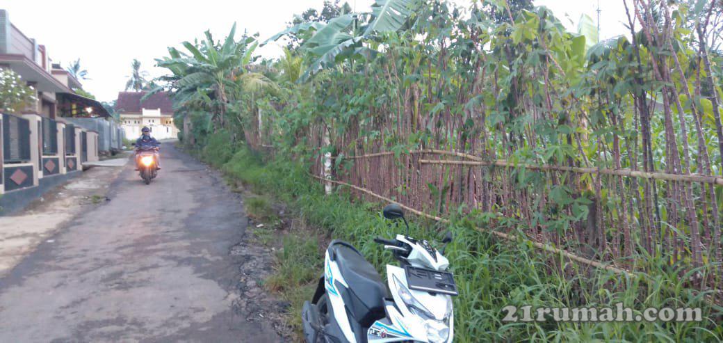 Tanah kota padat penduduk dan aman