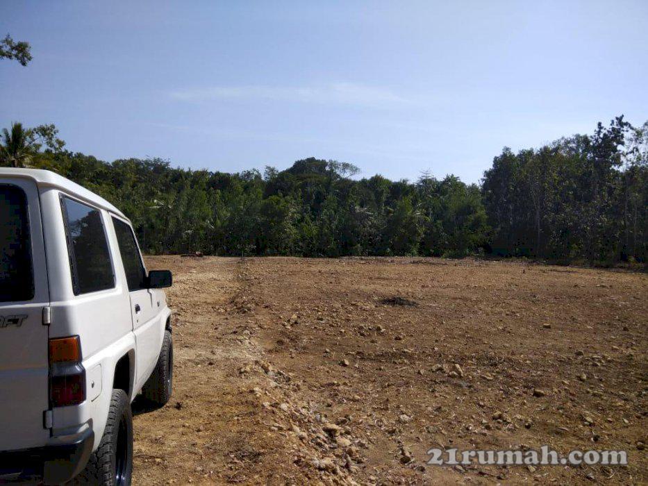 Harga 100 Jutaan, Tanah Kapling Strategis Hanya 5 Menit Ke Kota Wates