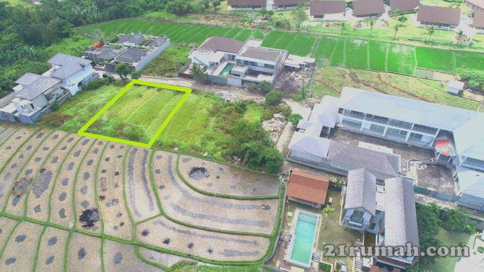 Tanah gang anggrek berawa canggu dekat Montessori school