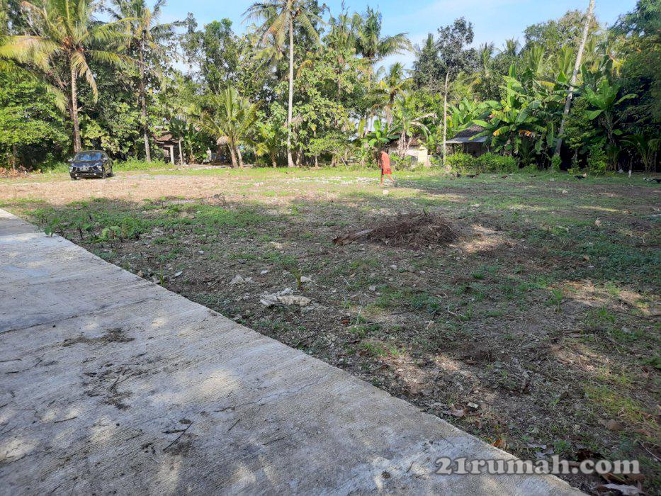 Dijual Tanah Kapling Murah Barat Bandara Kulonprogo, Bisa Dicicil 12x 