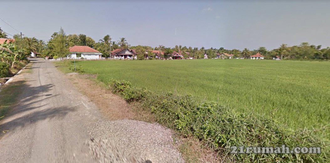 Paling Murah, Kapling Matang Area Barat Bandara Jogja Baru Kulonprogo