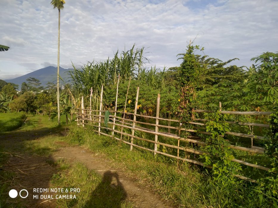Tanah SHM Cikereteg Bogor Murah View Pegunungan