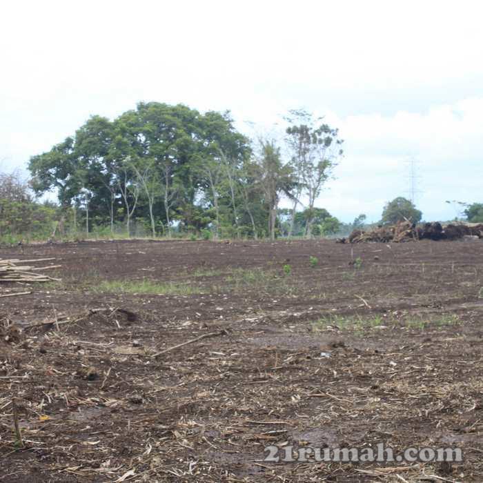 Tanah Kavling Area Bandara Baru Jogja, Harga Nego