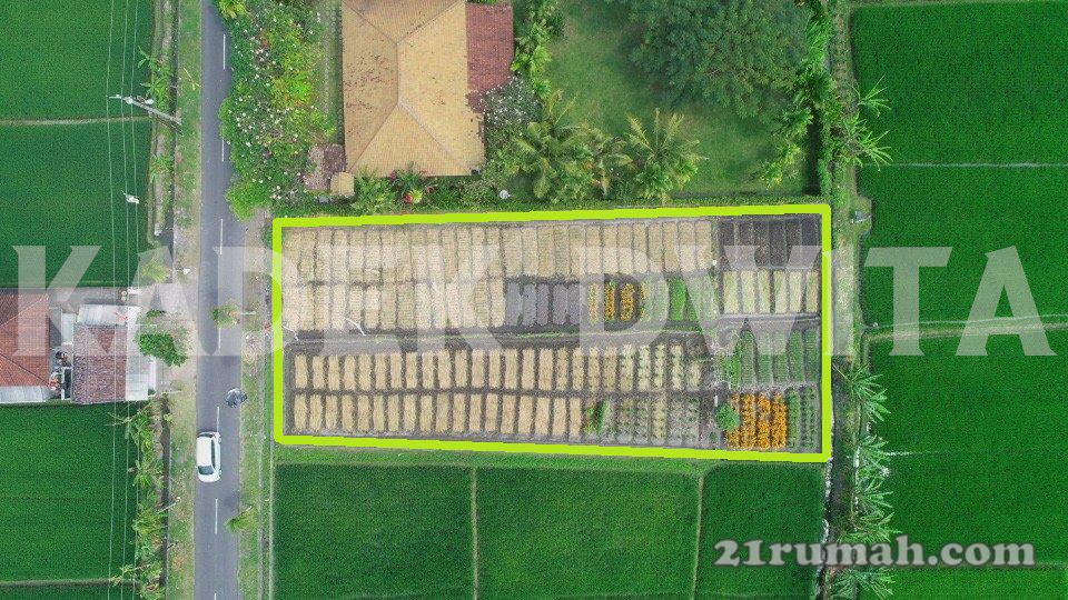 tanah 200 mtr dari pantai cemagi lingkungan villa view sawah