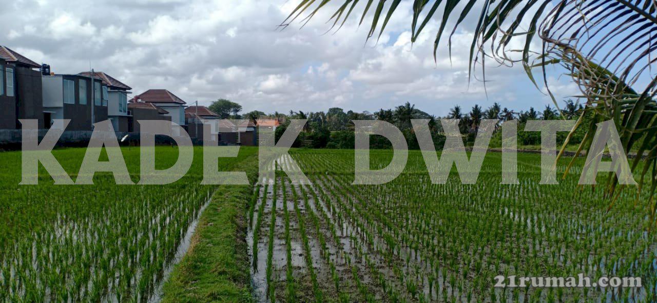 Tanah mengening cemagi dekat pantai dan view sawah