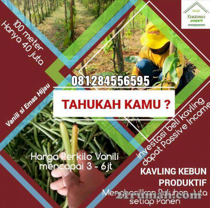 Loksi Strategis, Bebas Banjir, Harga Terjangkau, cocok Untuk Investasi