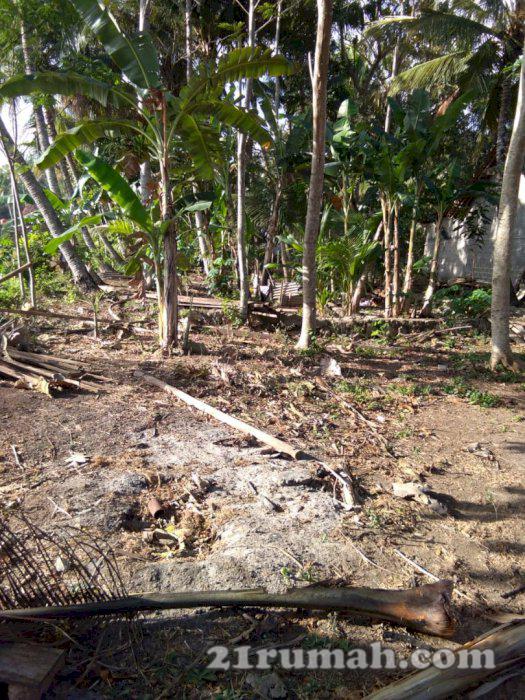 Tanah dijual murah ditemon