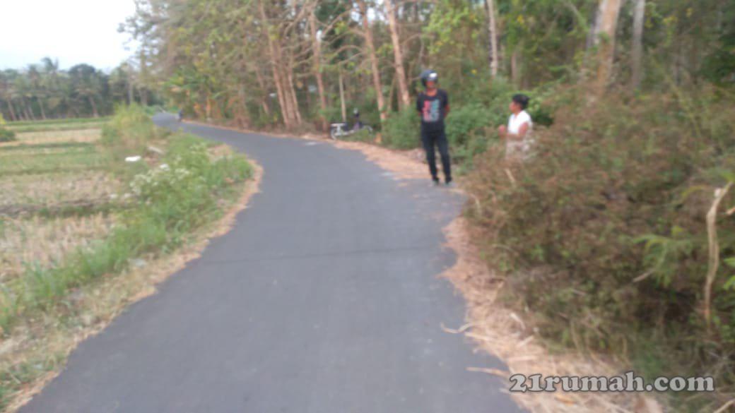 Tanah di jual di pengasih kulon progo