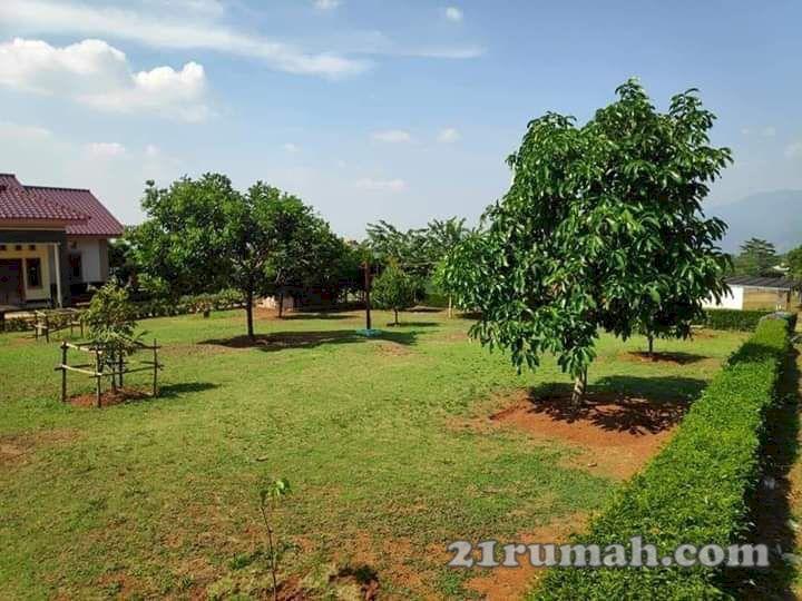 DiJual Cepat Tanah Kavling Murah di Bogor