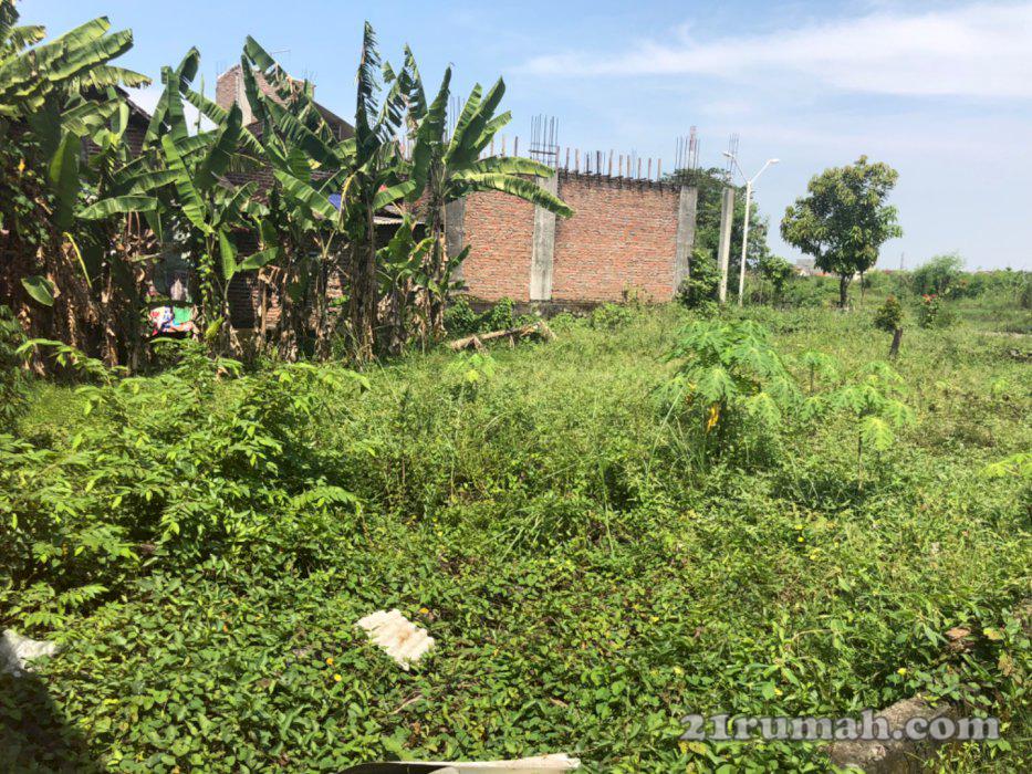 Dijual Tanah Murah Sidokerto Sidoarjo