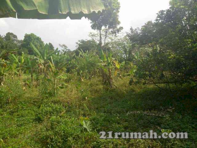 Tanah Luas Di Desa Sukadana Curug