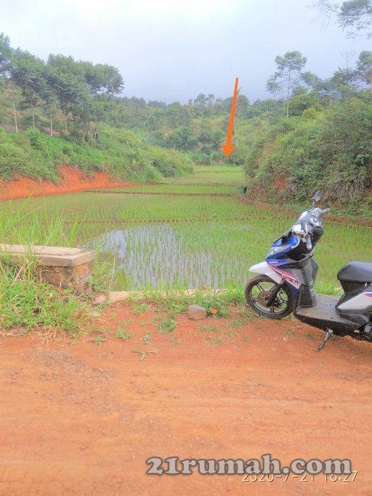 Tanah dan sawah murah buat berkebun