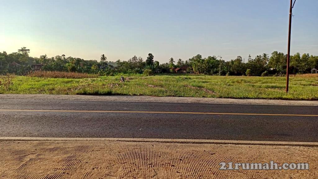 Di jual sebidang Tanah di daerah Tegineneng, Lampung