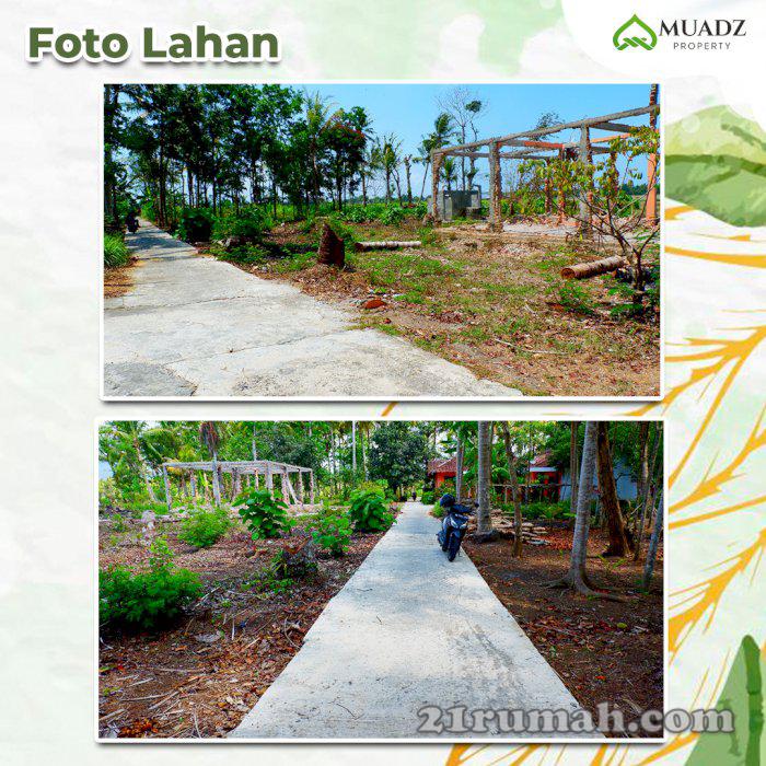 tanah murah dekat bandara jogja harga promo september