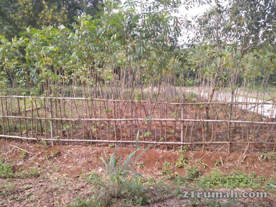 Tanah Kavling Pinggir Jalan Dijual