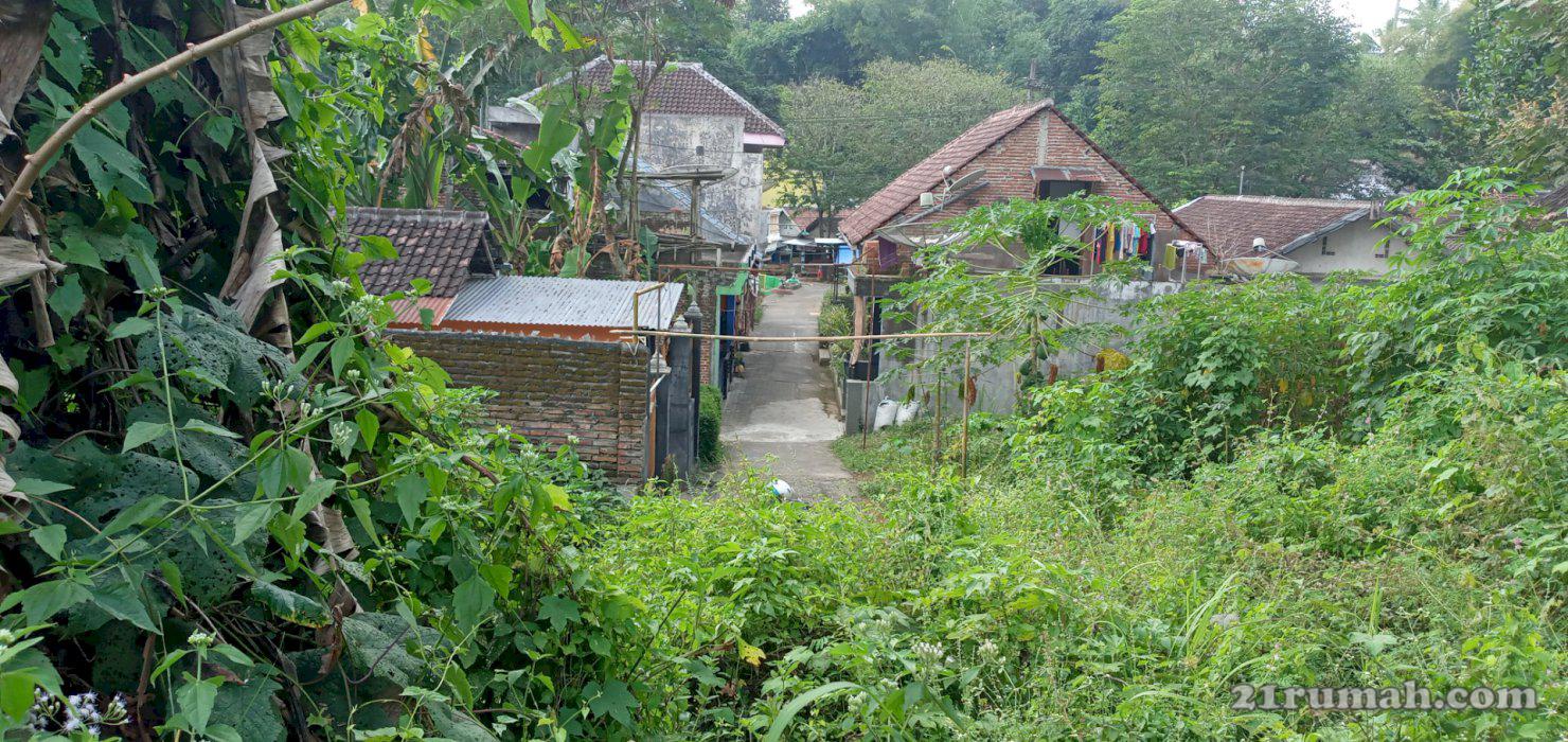 Tanah bagus untuk  makam keluarga