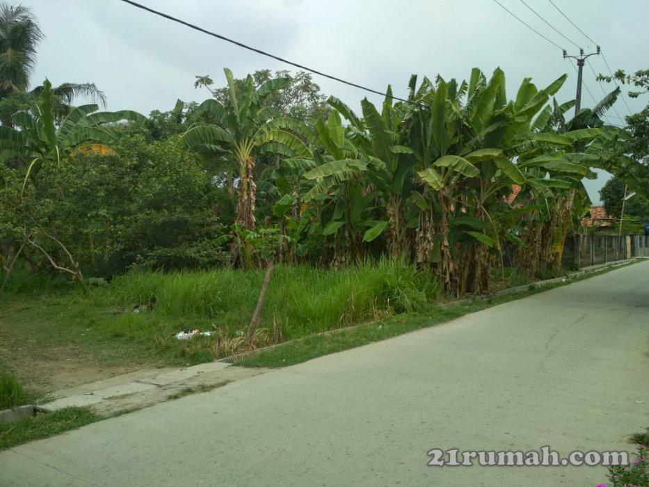 Bismillah - Dijual cepat sebidang tanah 800m2, Tambun Utara, Bekasi, Nego