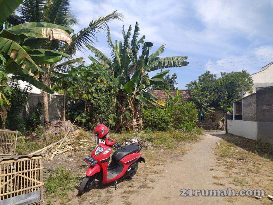 tanah kavlingan di selatan RS panti rini jogja akses jln mobil masuk