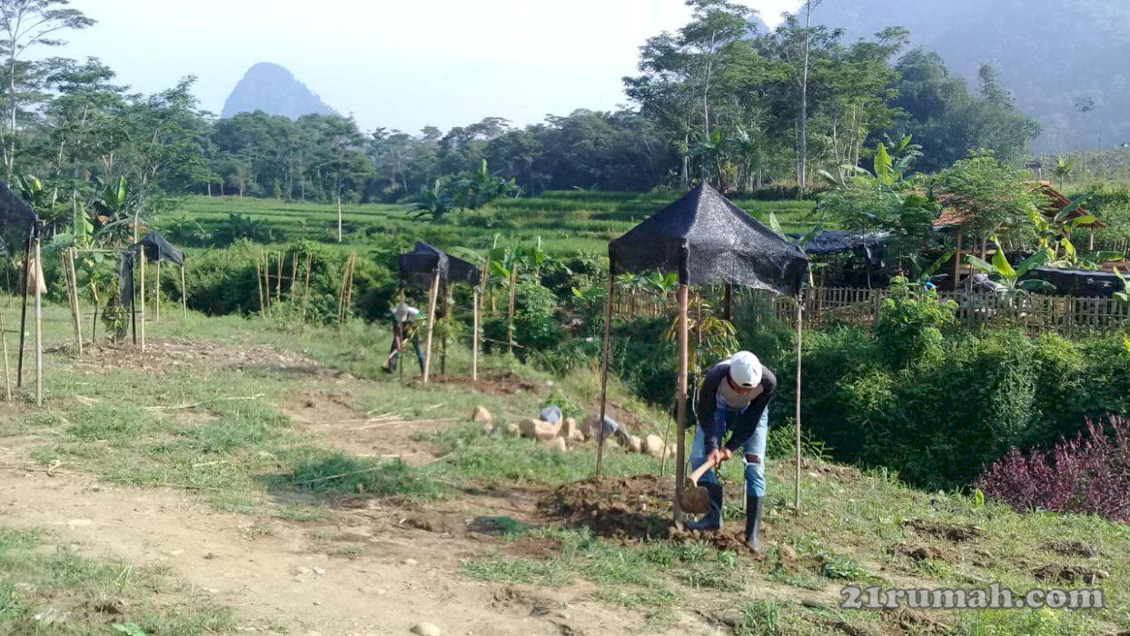 Miliki Tanah Kavling ditengah tempat wisata alam mulai harga 61jt/100m