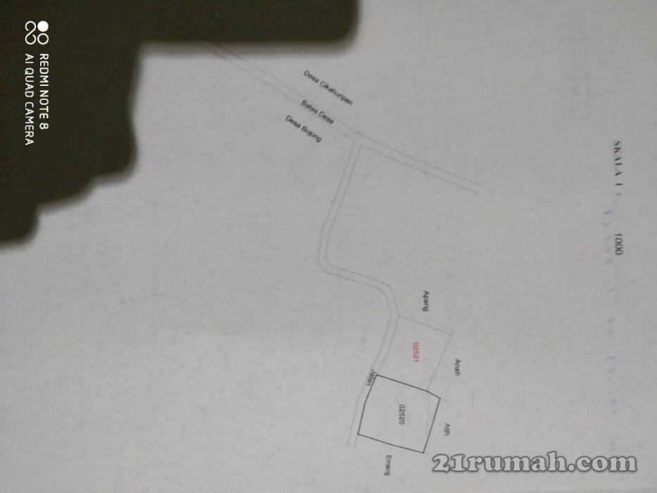 Jual tanah murah,ada tanaman pohon jati umur tanam 10 th siap tebang.