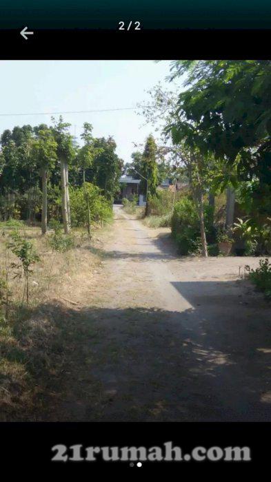 Di jual tanah pekarangan luas 210mÂ²(15ru)panjangxlebar 14x15