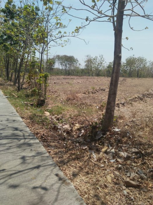 Dijual tanah datar prkarangan