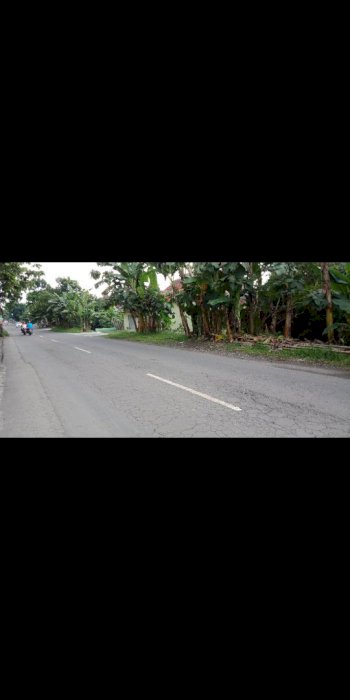 Dijual pekarangan mangku jalan DPU