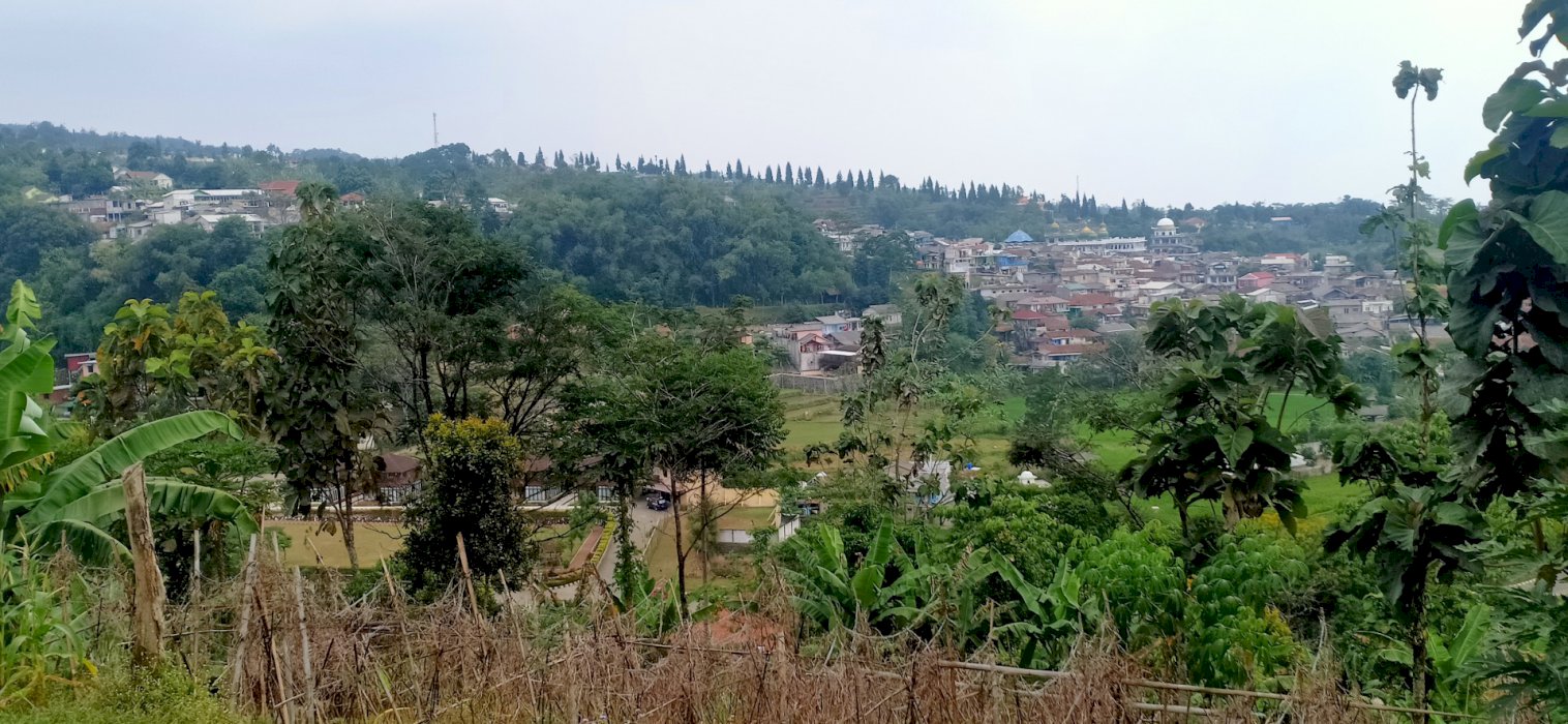 Dijual murah sekali tanah 5000 M hanya 1, 4miliar