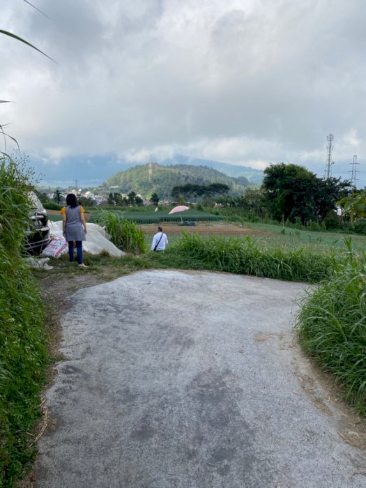 Jual tanah 49 are di bedugul baturiti tabanan bali strategis ada jalan